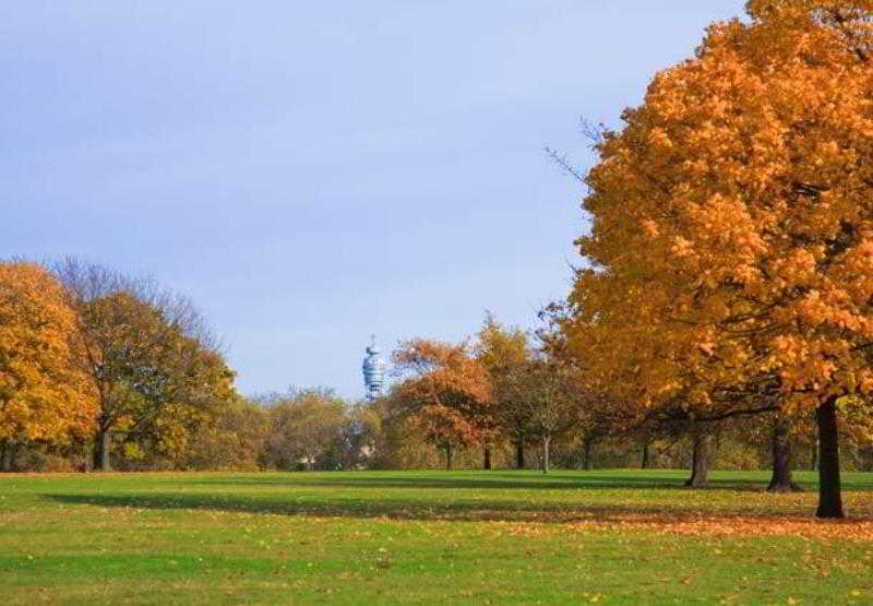 Отель Marriott Park Lane